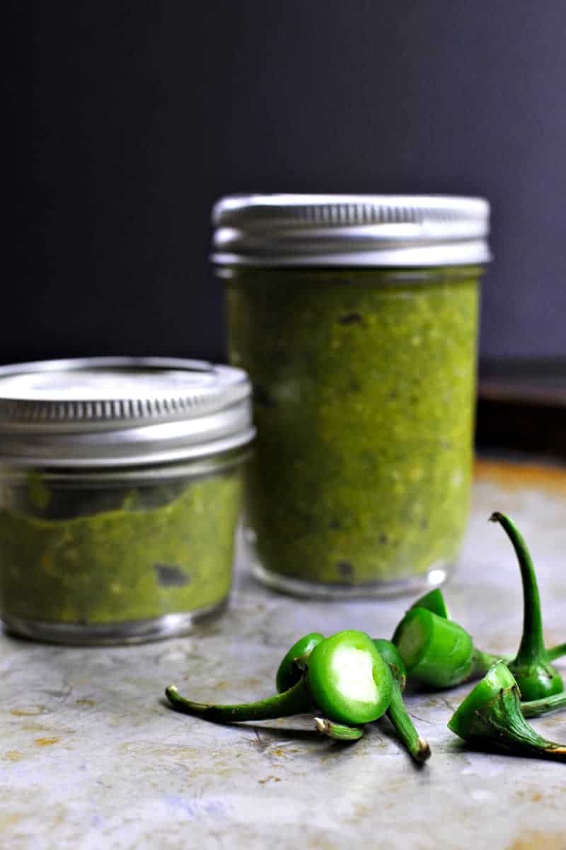 Green Chili-Garlic Sauce recipe (gluten-free, paleo, vegan variation) via thepigandquill.com #spicy #asian