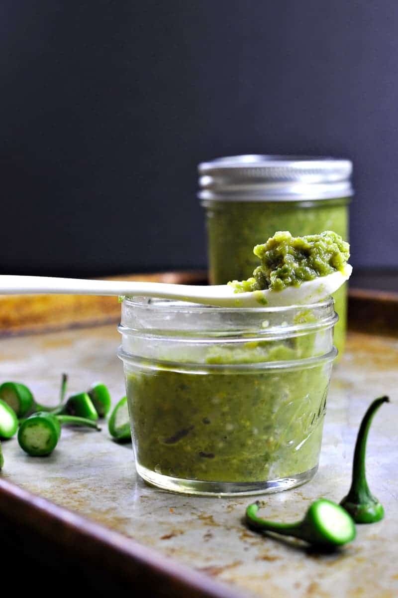 Green Chili-Garlic Sauce recipe (gluten-free, paleo, vegan variation) via thepigandquill.com #spicy #asian