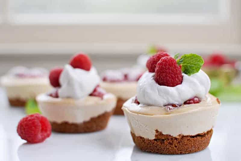 Mini PB+J No-Bake Cheesecakes with Gingersnap Crust recipe (via thepigandquill.com) #dairyfree #vegan #glutenfree #cheesecake #dessert 