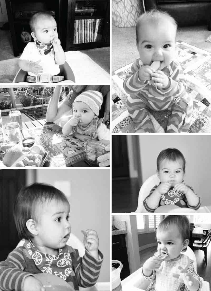 Feeding the Babe: Our Starting Solids Story (plus our favorite baby feeding products + recipes for baby + mama) from @thepigandquill (via thepigandquill.com) #babyledweaning #blw #babyfood